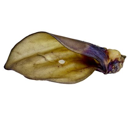 LK Baits Pet Sušené hovězí ucho se záuškem 1ks