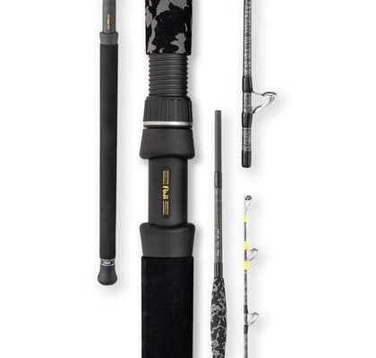 Delphin Prut Energy Catfish 2,5m 250-500g