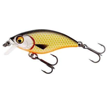 Westin Wobler BuzzBite SR Crankbait Low Floating Official Roach