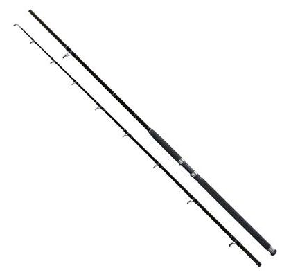 Giants Fishing Prut Deluxe Catfish 2,7m 500g