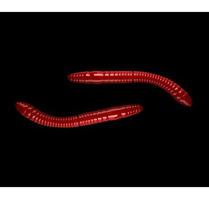 Libra Lures Fatty D’Worm Červený Syr