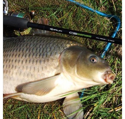 Chyť a pusť Rožkové boilies 12mm 150ml