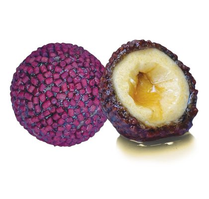 LK Baits Nutrigo Pellets Red Halibut