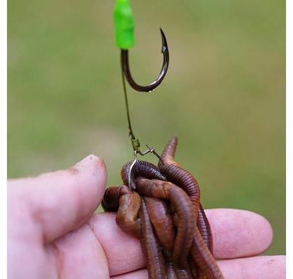 Zfish Vrtáček s Kroužkem Bait Screw & Oval Ring 10ks