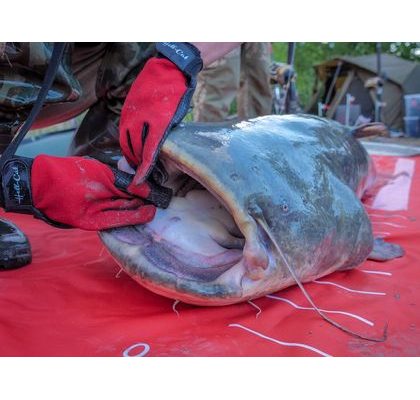 Hell-Cat Vlasec návazcový Leader Mono FC 50m