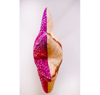 Gaby Polštář Štika monster 200 cm