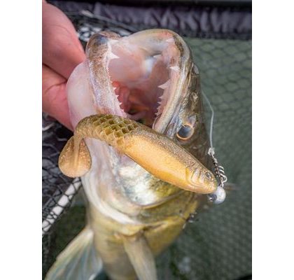 Berkley Těsto na pstruhy PowerBait Natural Glitter