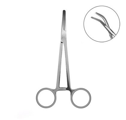 Delphin Pean Zahnutý