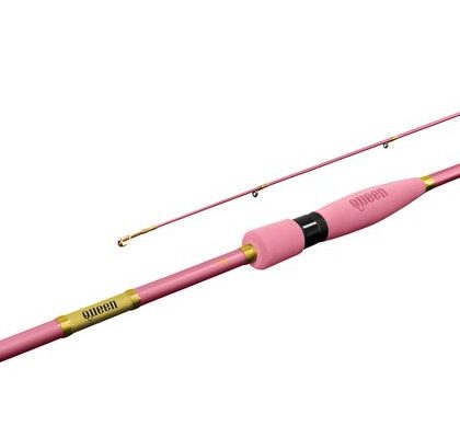 Delphin Prút Queen Spin 210cm 2-10g
