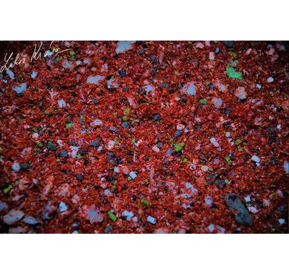 LK Baits IQ Method Mix Fruit 1,5kg