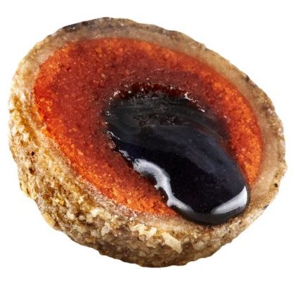 LK Baits Nutrigo Plankton