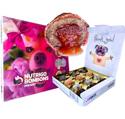 LK Baits Pet Sváteční bonboniéra Nutrigo Bonbons Present pro větší psy