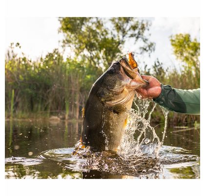 Savage Gear Gumová nástraha 3D Line Thru Trout Artic Char