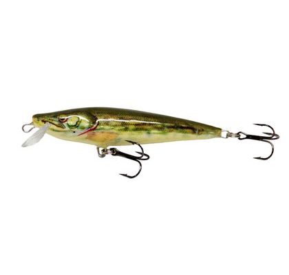 Dorado Wobler Esox NGR