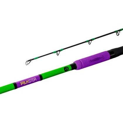 Delphin Prút Pilkster 270cm 50-200g