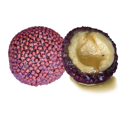 LK Baits Nutrigo Pellets Chilli Halibut