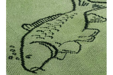 Delphin Ponožky Carp