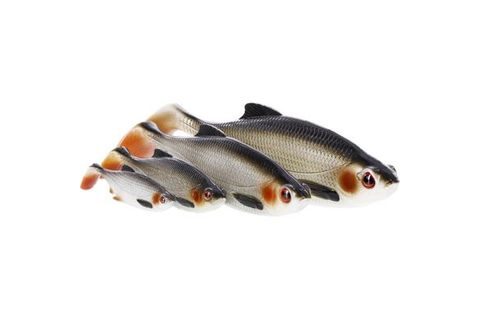 Westin Gumová nástraha Ricky the Roach Shadtail 10cm 14g Real Roach 2ks