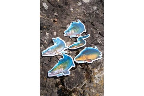 Zebco Vůně do auta Target Fish Air Freshener Pike Štika