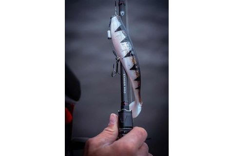 Fox Rage Gumová nástraha Zander Pro Shad Loaded UV Glitter Perch