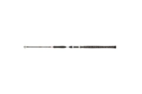 Penn Prut Legion Cat Silver Power Allround 3m 200-400g