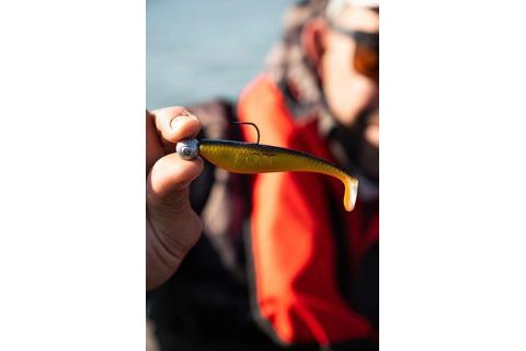 Fox Rage Gumová nástraha Zander Pro Shads UV Golden Shiner