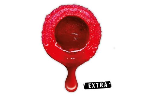 LK Baits Nutrigo Extra Wild Strawberry