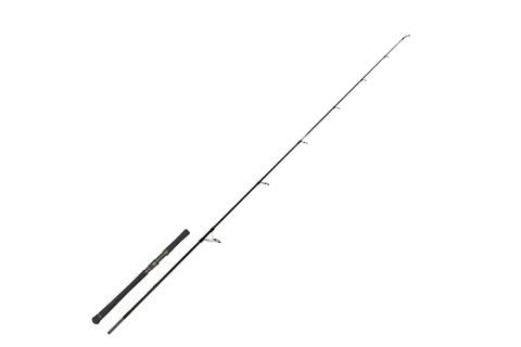 Zeck Prut EVO Cat 243cm 120g