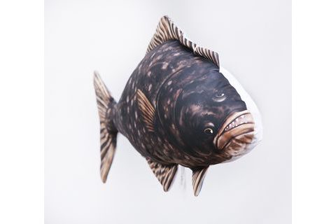 Gaby Polštář Halibut 72cm