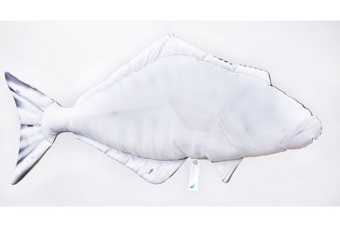 Gaby Polštář Halibut 72cm