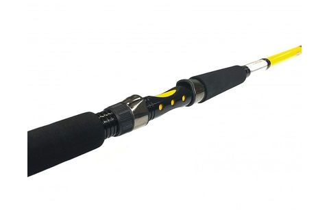 Zfish Prut Kodiak 2,40m 100-250g
