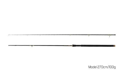 Delphin Prut Murena 270cm 100g