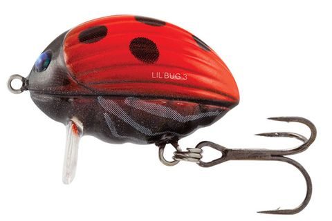 Salmo Wobler Lil' Bug Floating 3cm