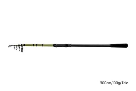 Delphin Prut Partisan Tele 300cm 100g