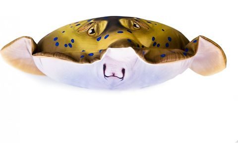 Gaby Polštář Trnucha mini - 50 cm