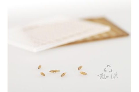 Zfish Zarážky Boilie Stops ZX 240ks