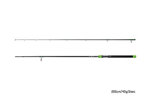 Delphin Prut GreenCode 255cm 40g 2 díl