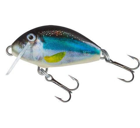 Salmo Wobler Tiny Holo Smelt