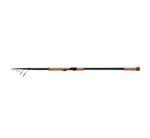 Shimano Prut Catana GX Spinning Tele 2,70m 10-30g
