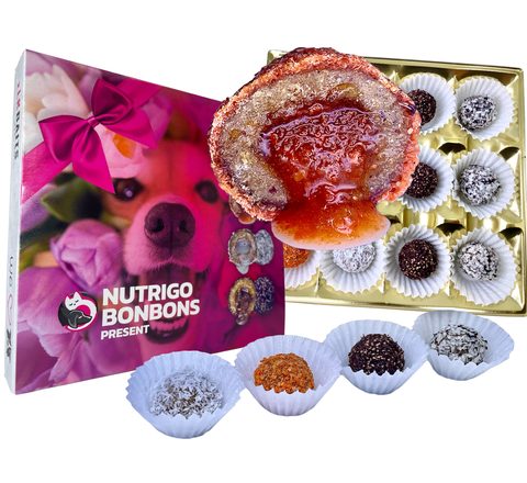 LK Baits Pet Sváteční bonboniéra Nutrigo Bonbons Present Small pro menší psy
