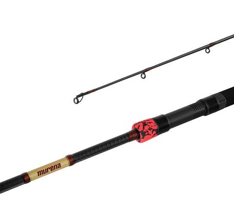Delphin Prút Murena Power 300cm 125g 2 diel