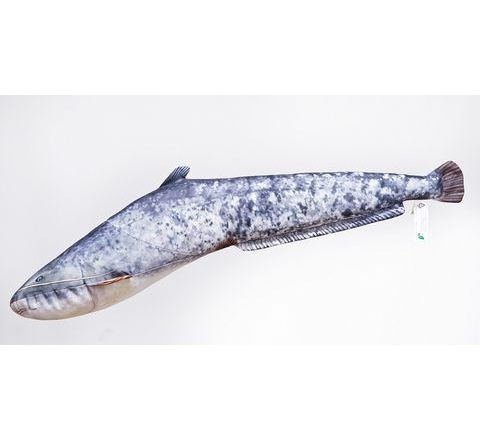 Gaby Polštář Sumec velký mini - 62 cm