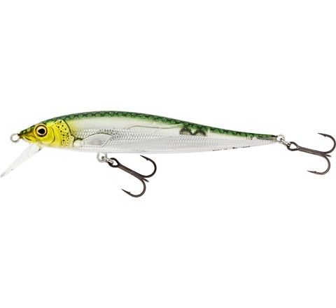 Westin Wobler Jerkbite SR Jerkbait Headlight