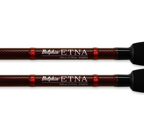 Delphin Prut Etna Carp 3,0m 2,75lb 2díl