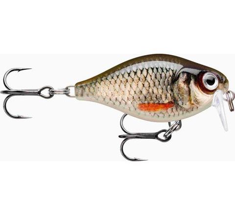 Rapala Wobler X-Light Crank Shallow Runner Live Roach