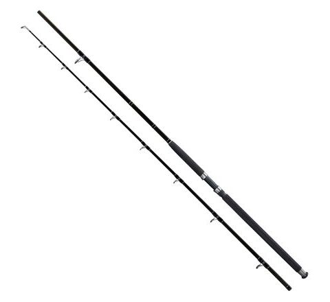 Giants Fishing Prut Deluxe Catfish 2,4m 400g