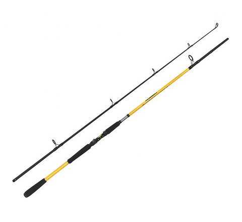 Zfish Prút Kodiak 2,40m 100-250g