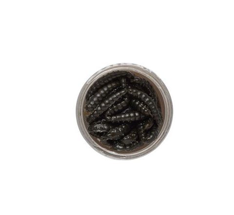 Berkley Vosacia larva Powerbait Honey Worm 2,5cm 55ks
