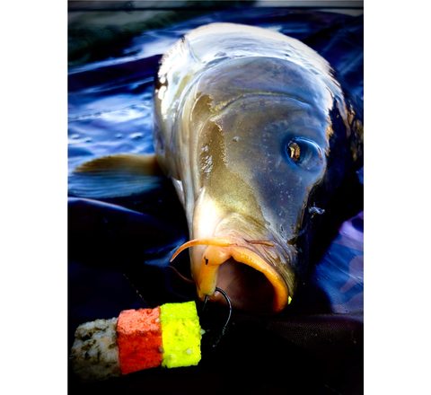 LK Baits Nástraha CUC!