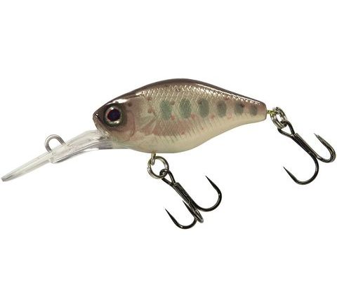 Illex Wobler Deep Diving Chubby Truitelle
